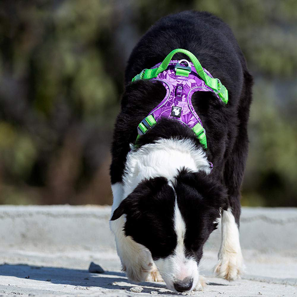 Explosion-proof Reflective Camouflage Dog Harness with Aviation Aluminum Buckle