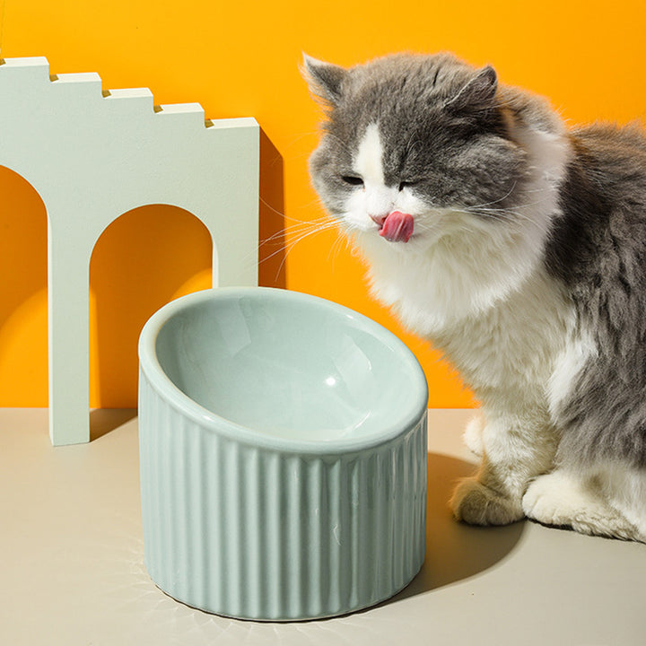 Elevated Ceramic Cat and Small Dog Water Bowl