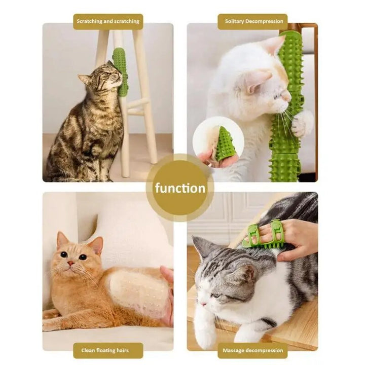 Cat Massage Comb & Scratcher: Ultimate Grooming and Relaxation