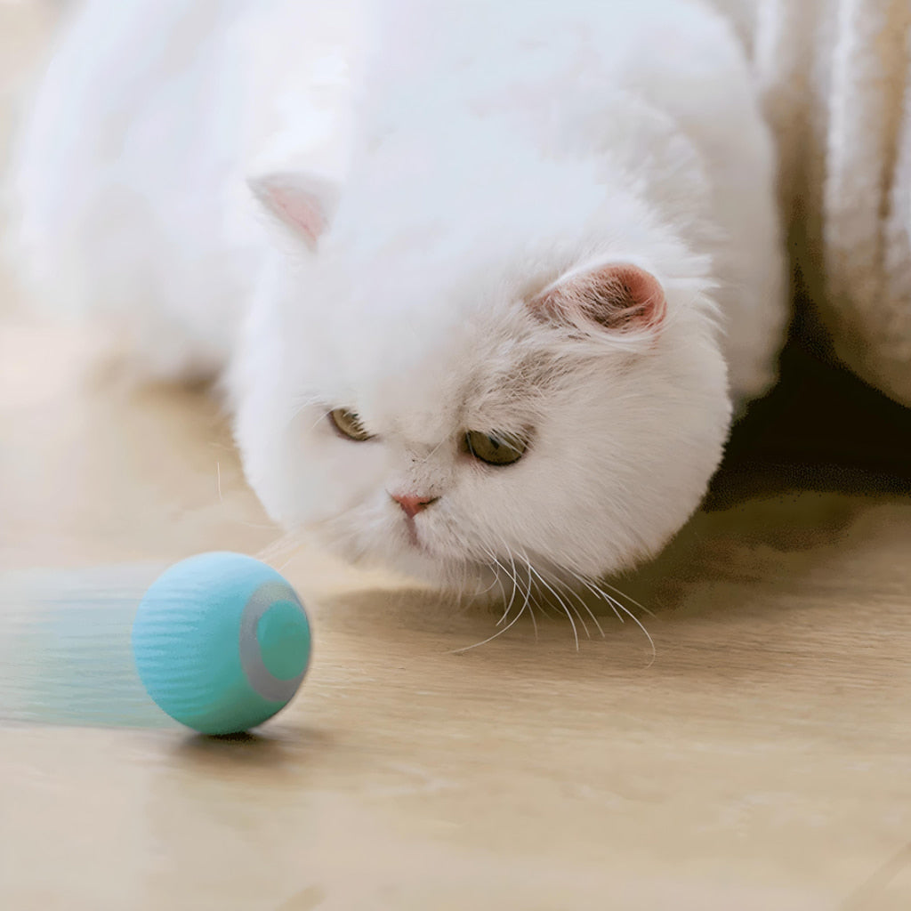 Interactive Electric Cat Ball