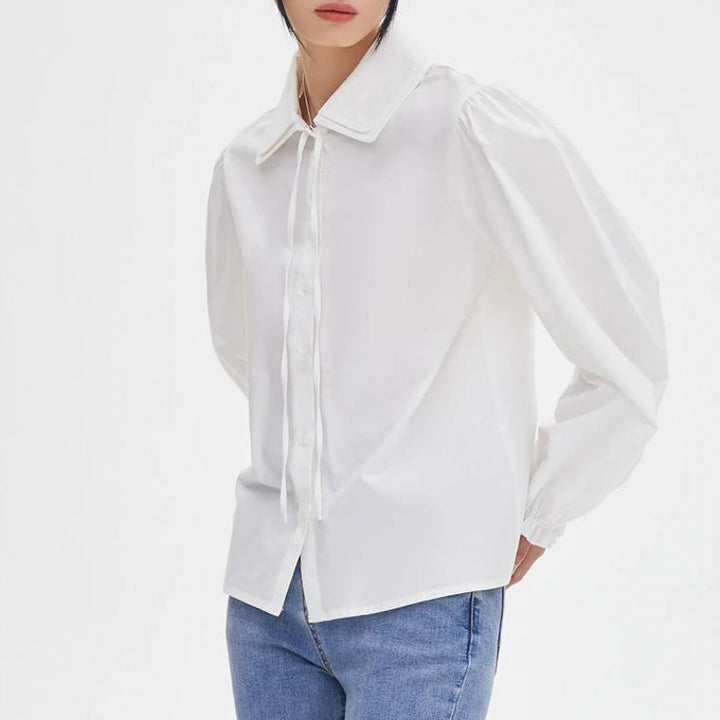 Spring Casual Bubble Sleeve Blouse for Women