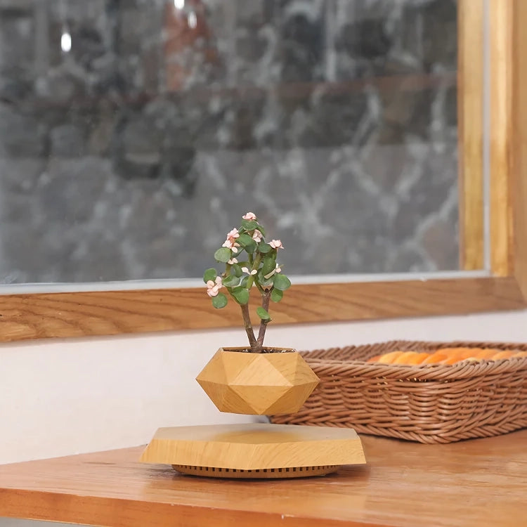 Floating Plant Pot Levitating Plant Pot for Succulents