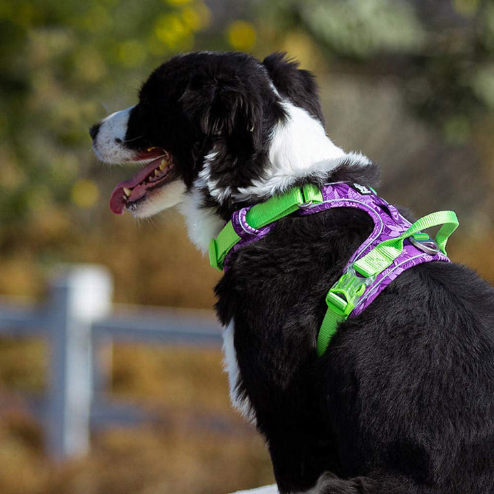 Explosion-proof Reflective Camouflage Dog Harness with Aviation Aluminum Buckle