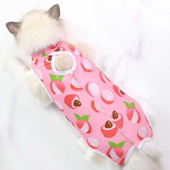 Anti-Licking Pet Surgery Suit