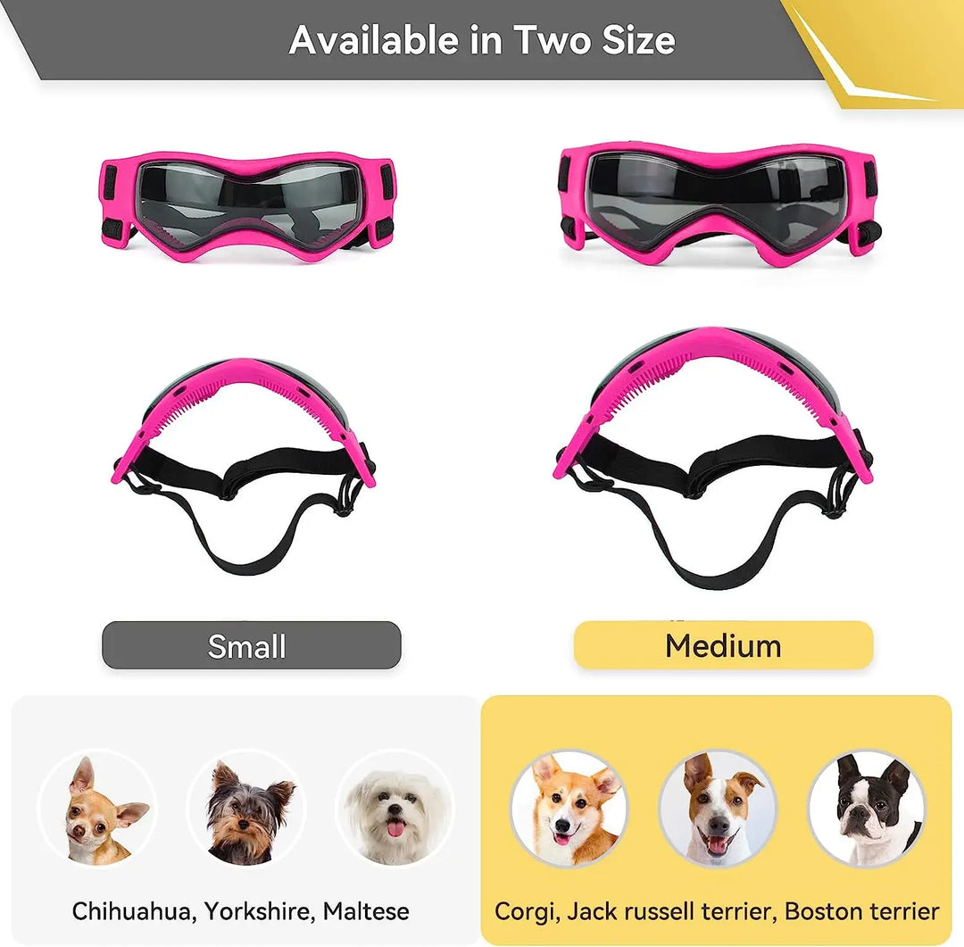 Small Dog Sunglasses