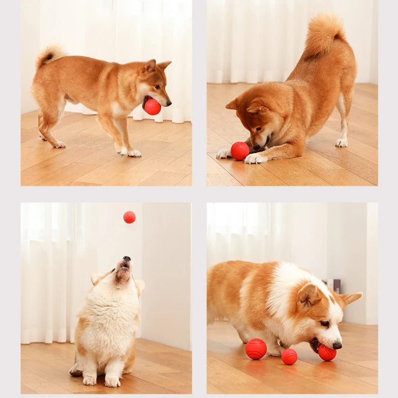 Rubber Bite-Resistant Dog Training Ball