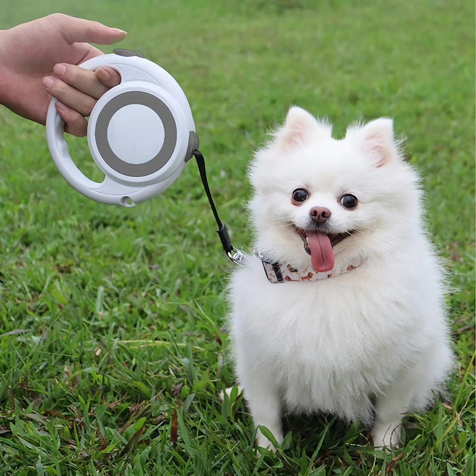 5m Retractable Dog Leash with Anti-Slip Handle and One-Handed Brake for Small to Medium Dogs