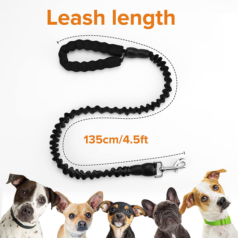 Stretchable Dog Leash