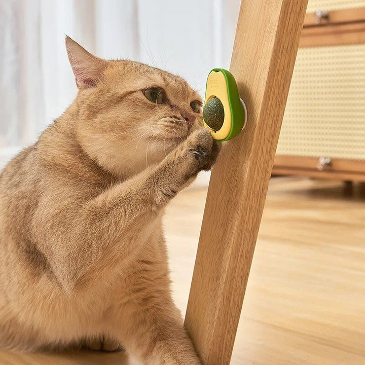 Avocado Catnip Lickable Toy Ball: Healthy & Interactive Treat for Cats