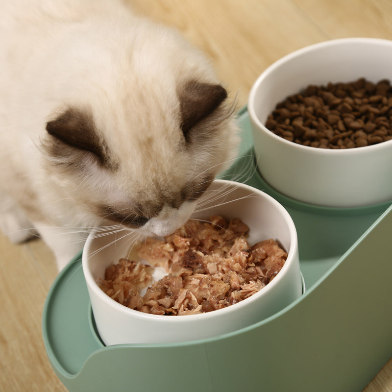 Elevated Double Ceramic Cat Bowls