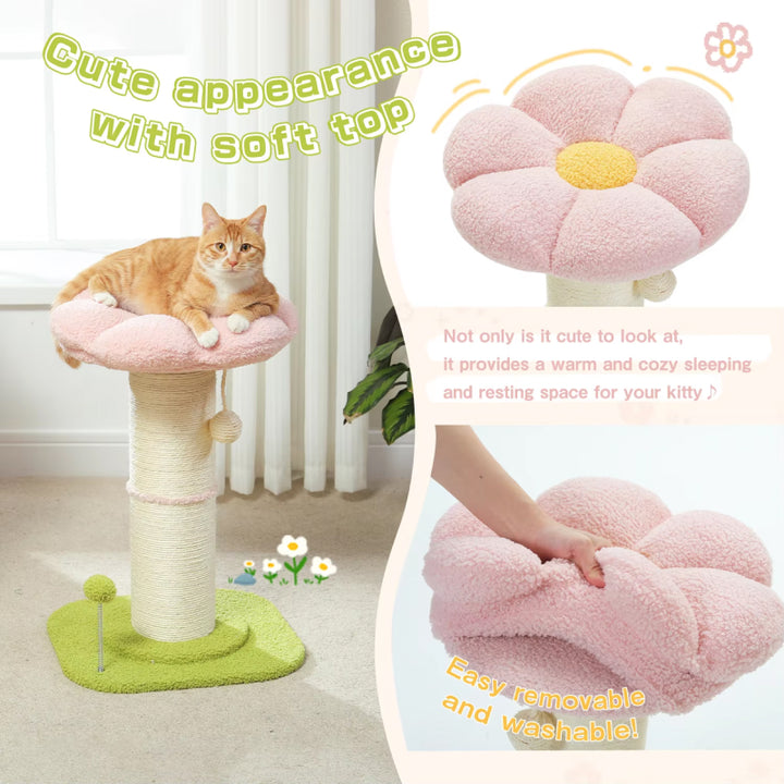 Small Cat Scratching Post with Sisal & Spring Ball Toy