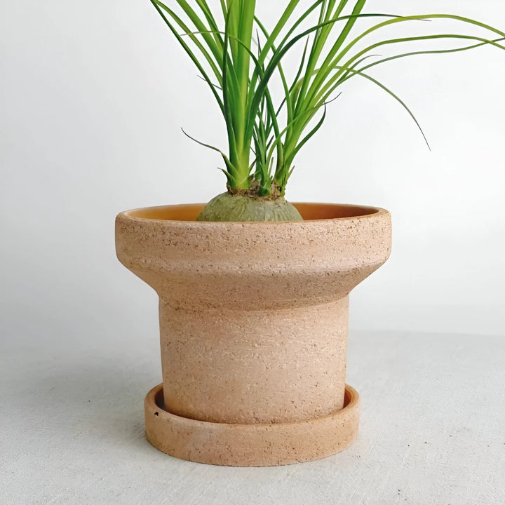 Charming Terracotta Water Pipe Planter with Tray