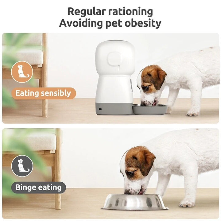 Smart 3.5L Automatic Pet Feeder: Hassle-Free Feeding for Happy Pets