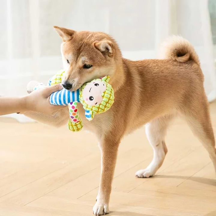 Cute Animal Squeaky Chew Toy for Pets