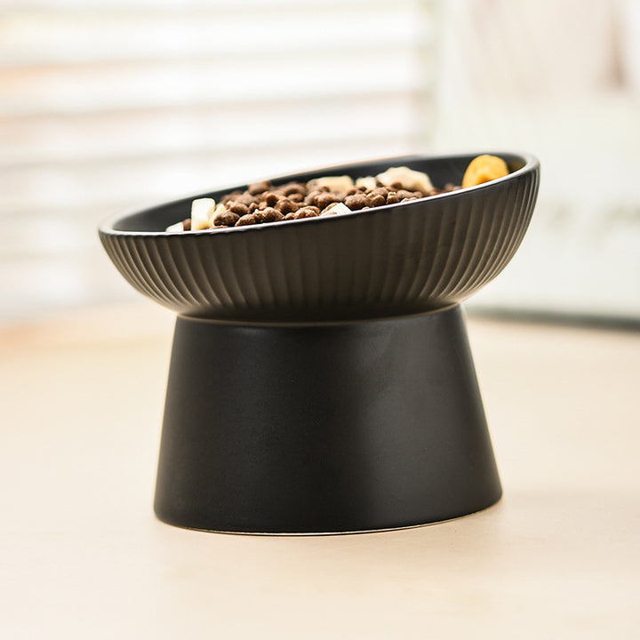 15° Tilted Elevated Cat and Small Dog Bowls