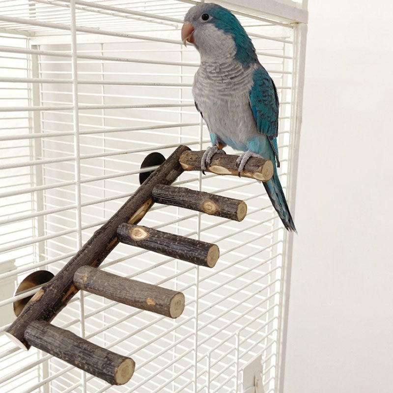 Natural Apple Wood Bird Perch and Chew Toy