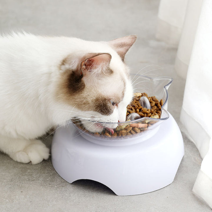 15° Tilt Pet Bowl with Non-Slip Stand