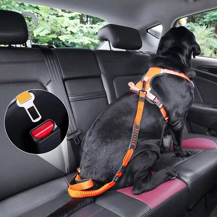 Multifunction Reflective Nylon Dog Leash & Seat Belt