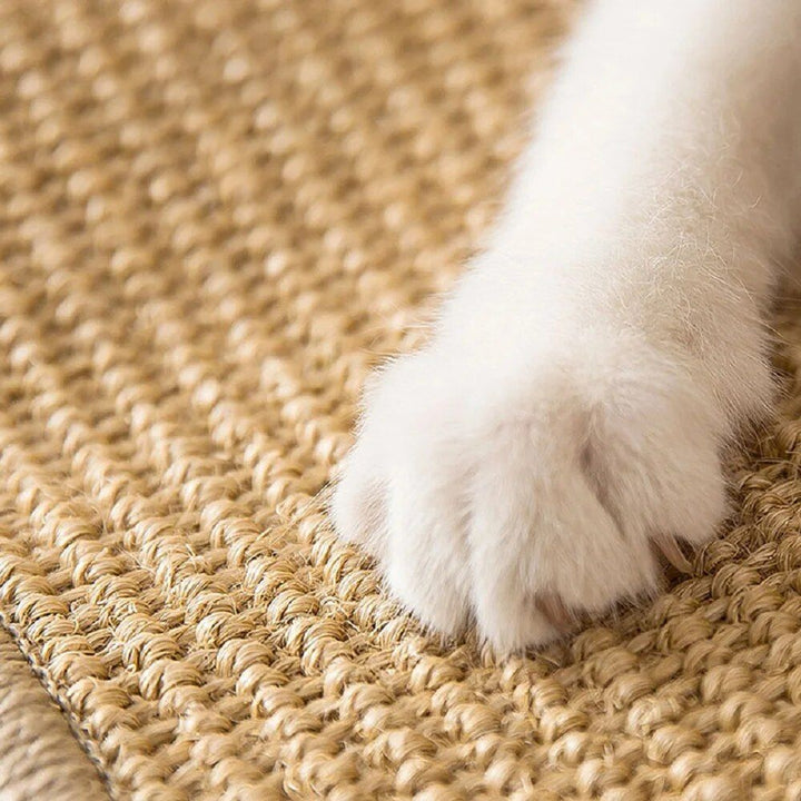 Multi-Purpose Cat Scratching Mat