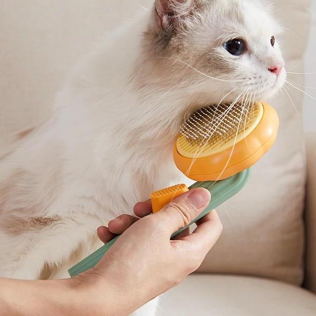 Pumpkin Pet Brush for Dogs & Cats