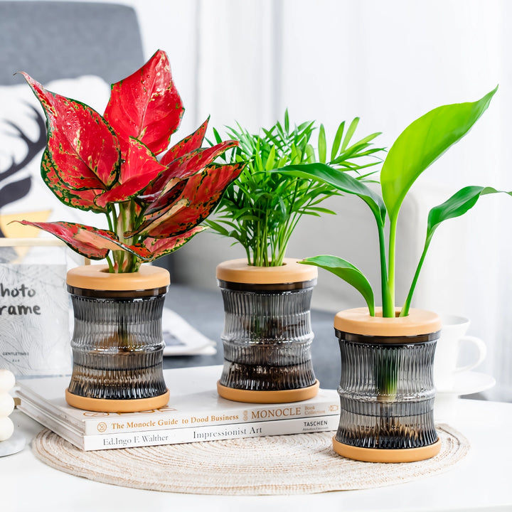 Mini Hydroponic Flower Pot