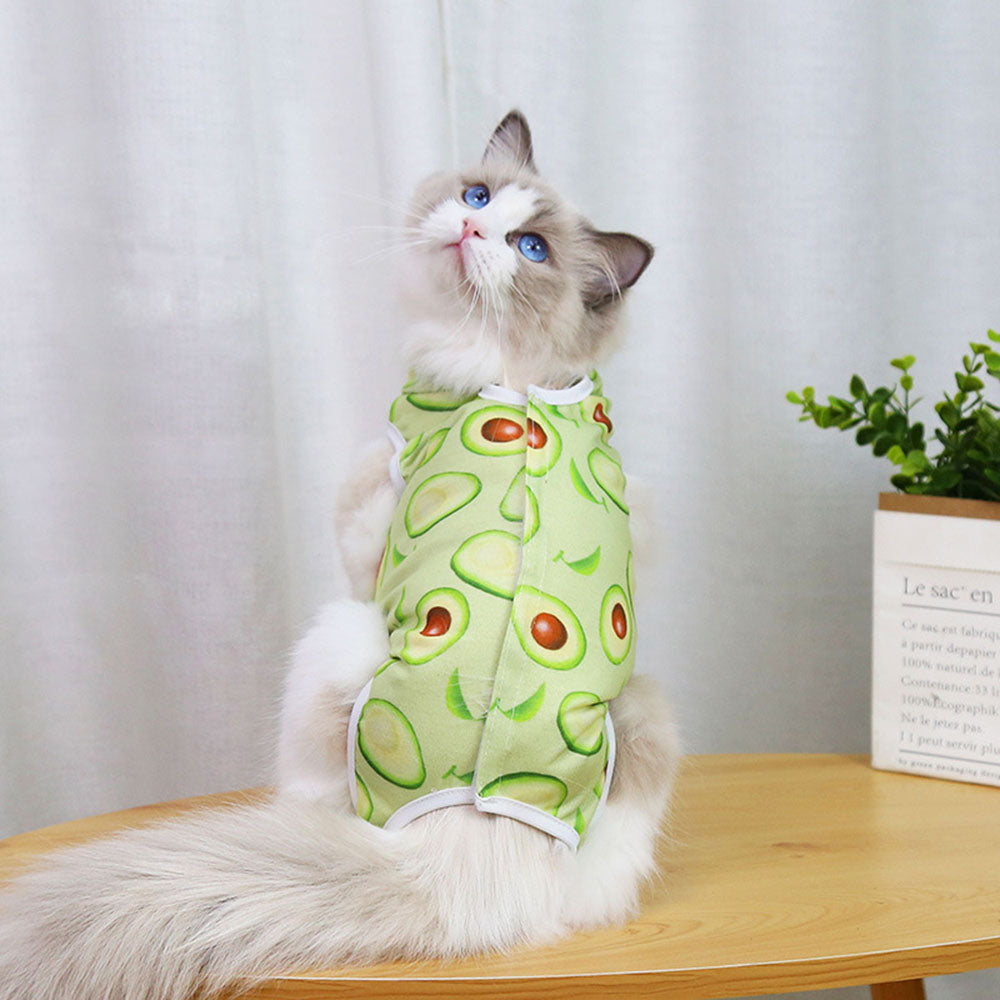 Anti-Licking Pet Surgery Suit