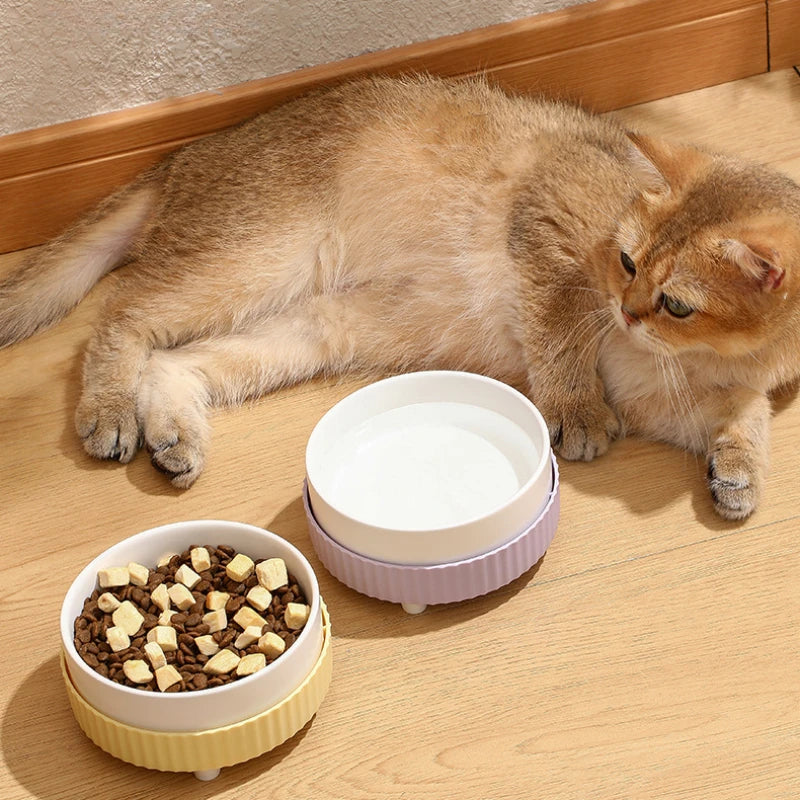 Ceramic Cat & Dog Bowl