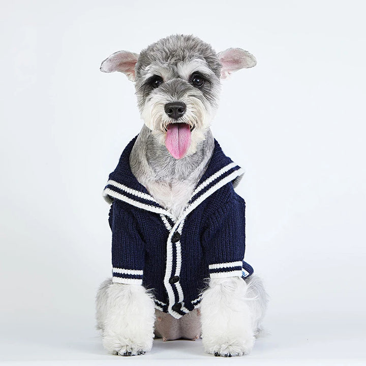 Autumn/Winter Dog Cardigan