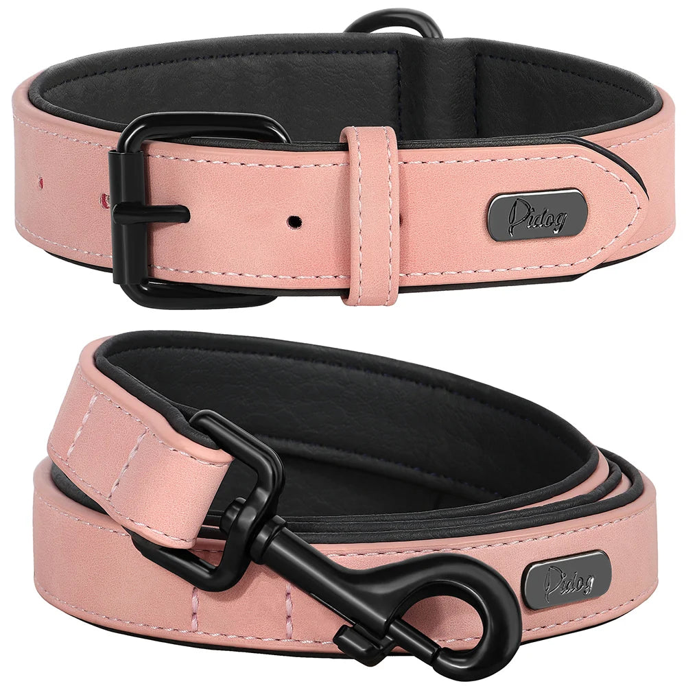 Durable Padded Dog Collar and Leash Set for Large Breeds