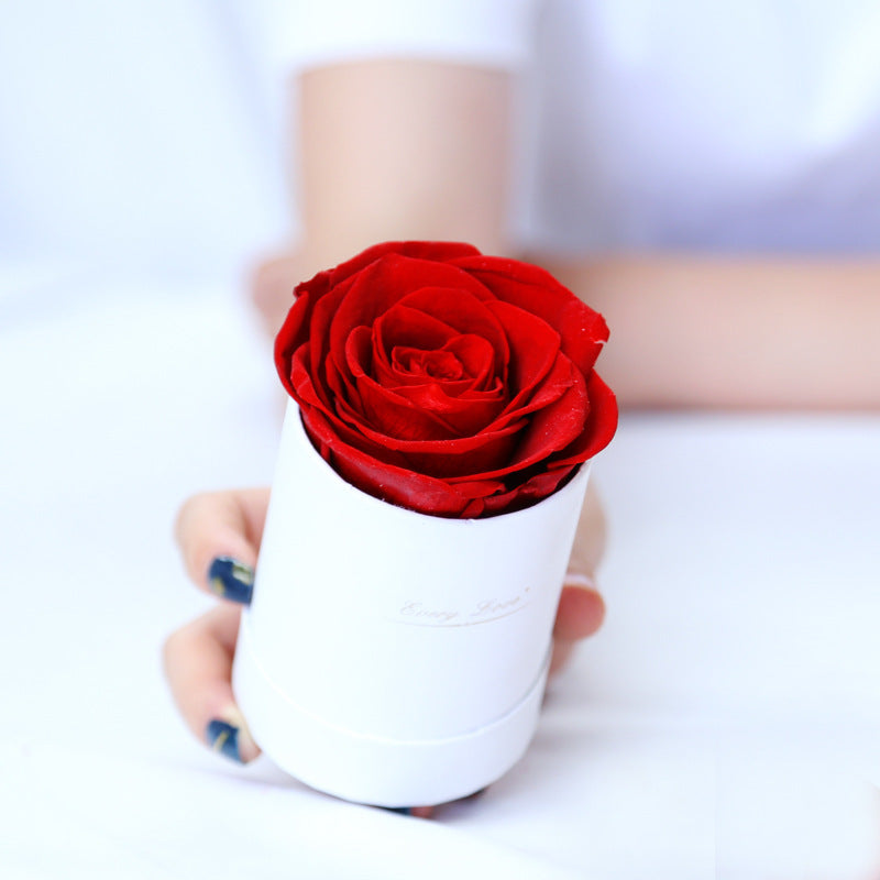 Thanksgiving Day Gift For Mother Flower Pot 1 A- A Rose Production Upgrade Small Size Gift Box