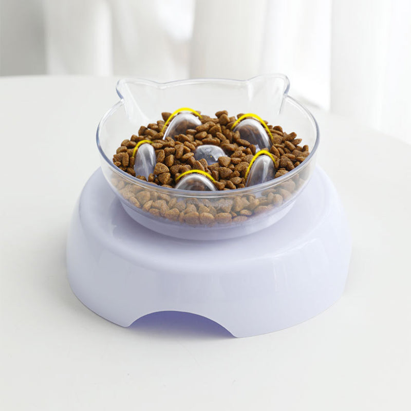 15° Tilt Pet Bowl with Non-Slip Stand