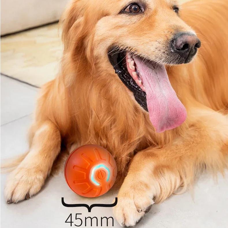 Interactive Smart Dog Ball Toy