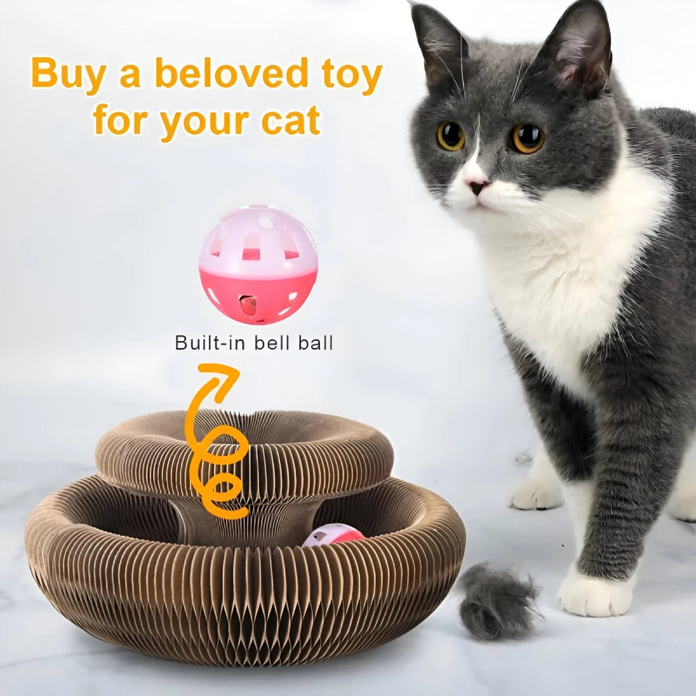 Magic Organ Cat Scratcher Toy