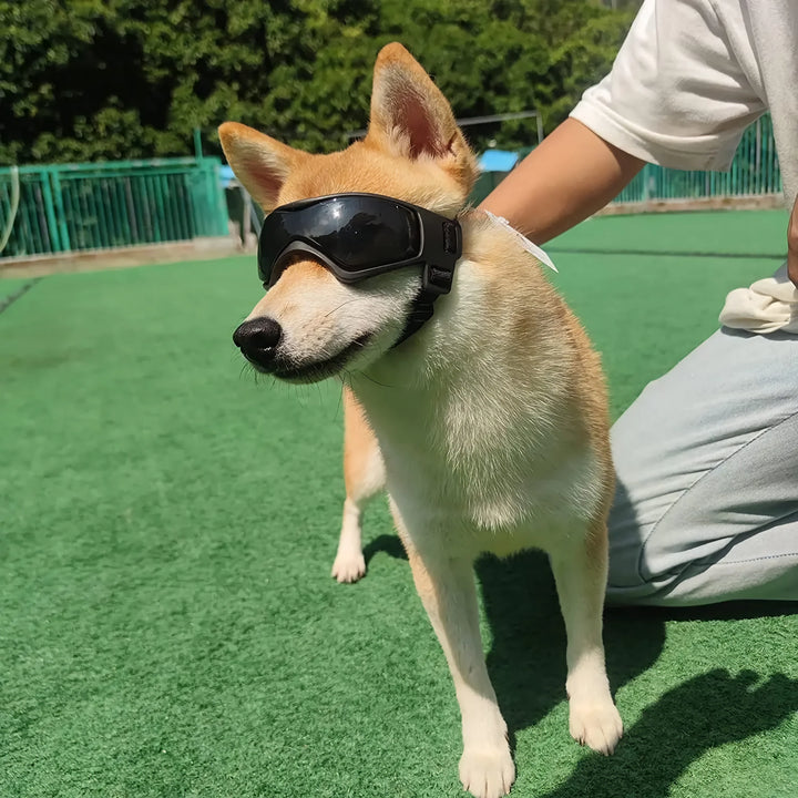 Dog Goggles with UV Protection