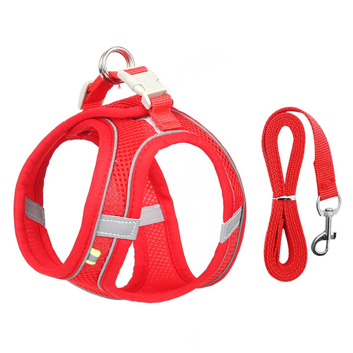 Adjustable Summer Mesh Harness and Leash Set for Small Dogs and Cats