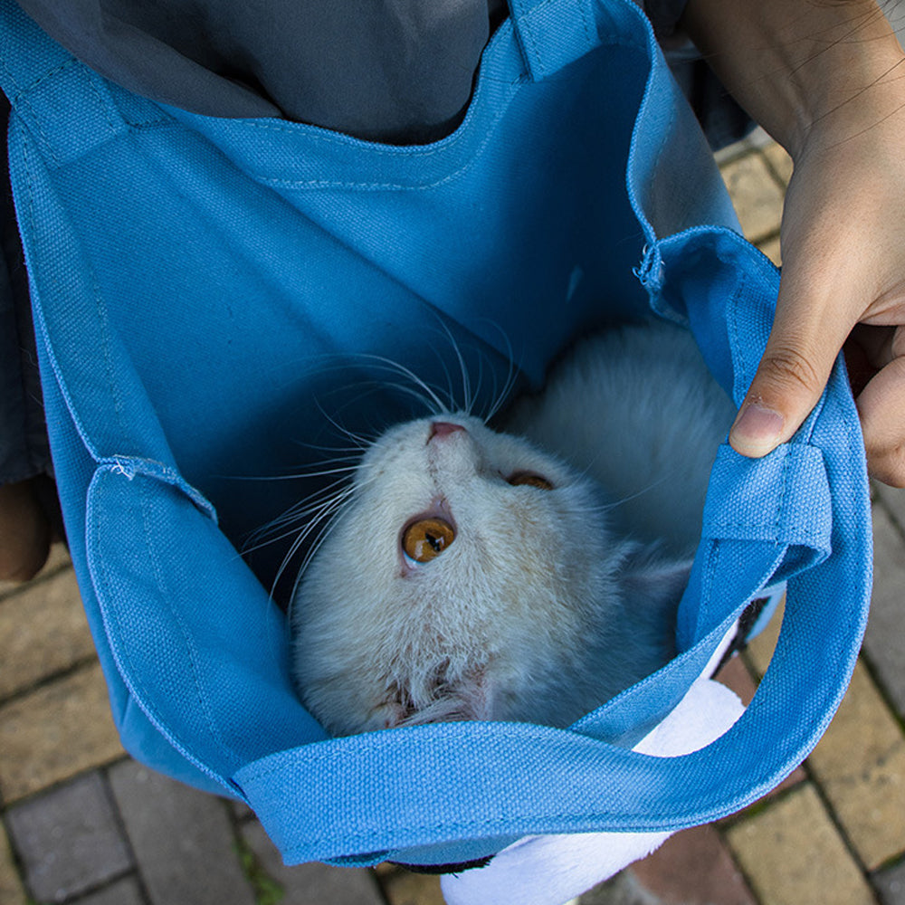 Cozy Travel Pet Carrier