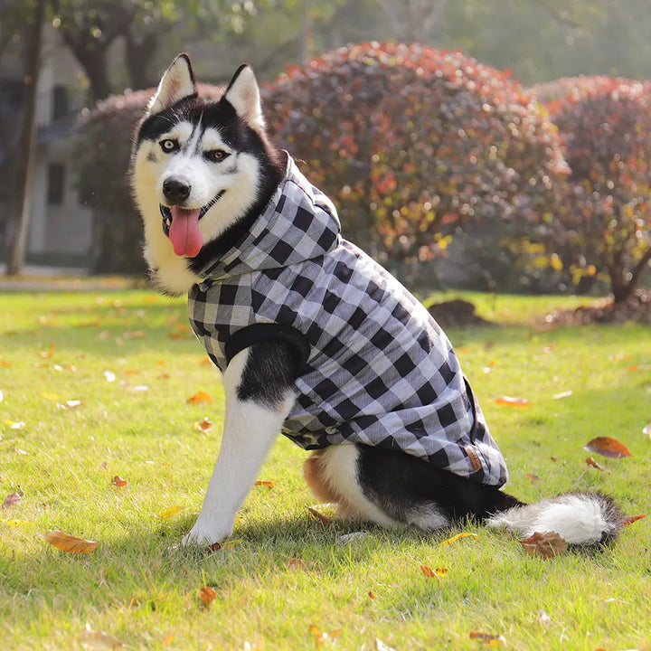 Large Pet Dog Winter Coat with Detachable Hood