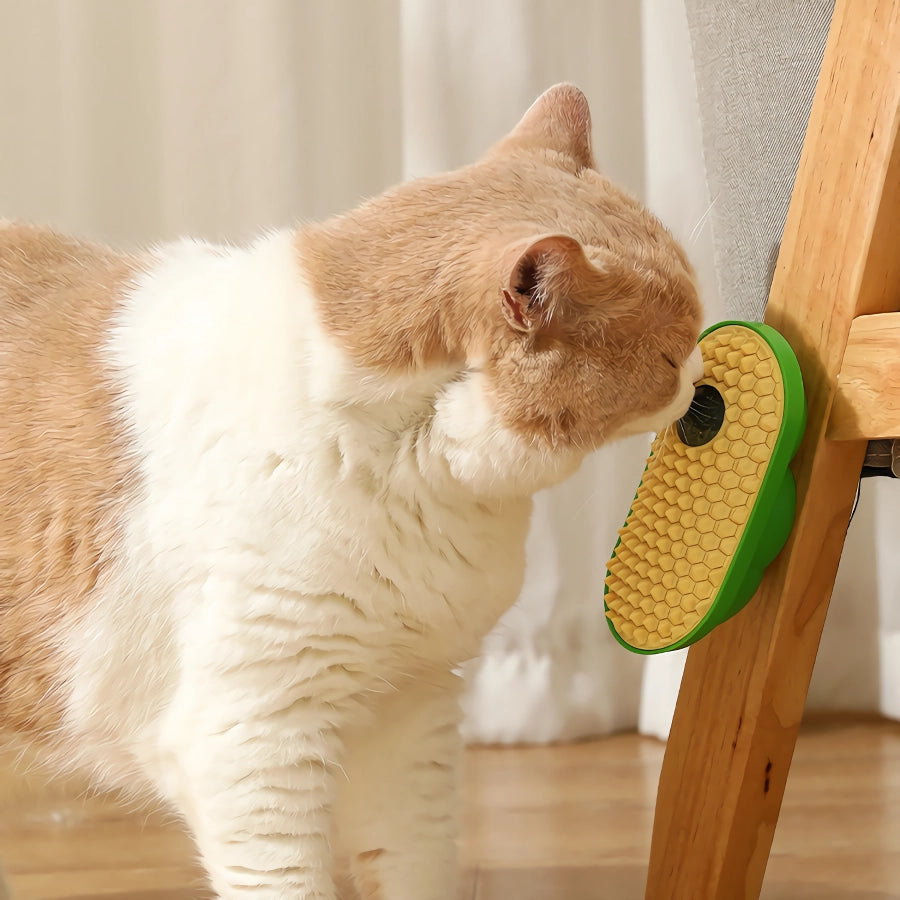 Funny Cat Grooming Brush with Catnip