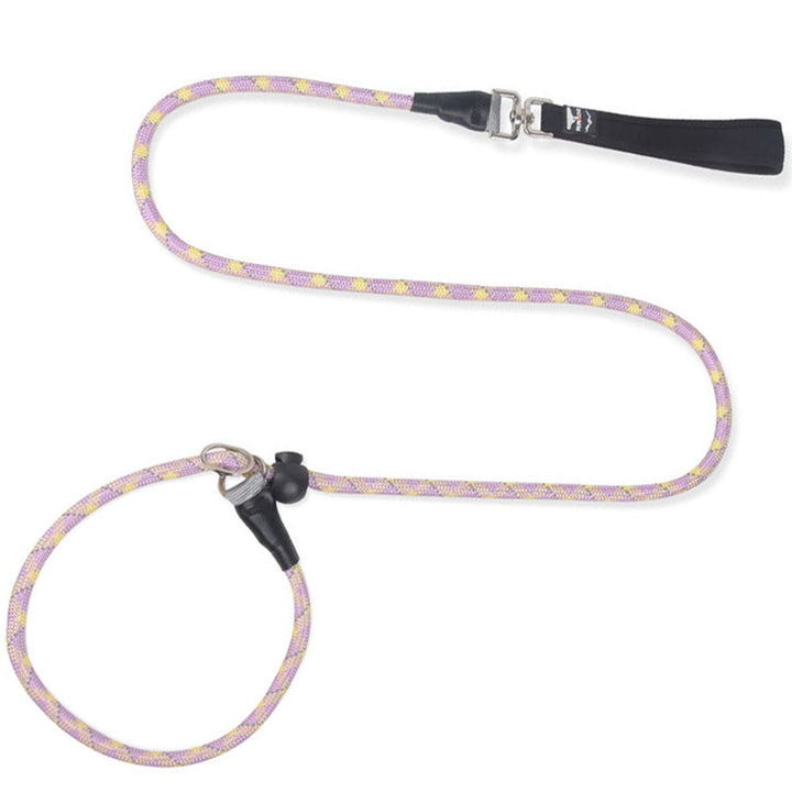 Heavy-Duty Slip Rope Dog Training Leash