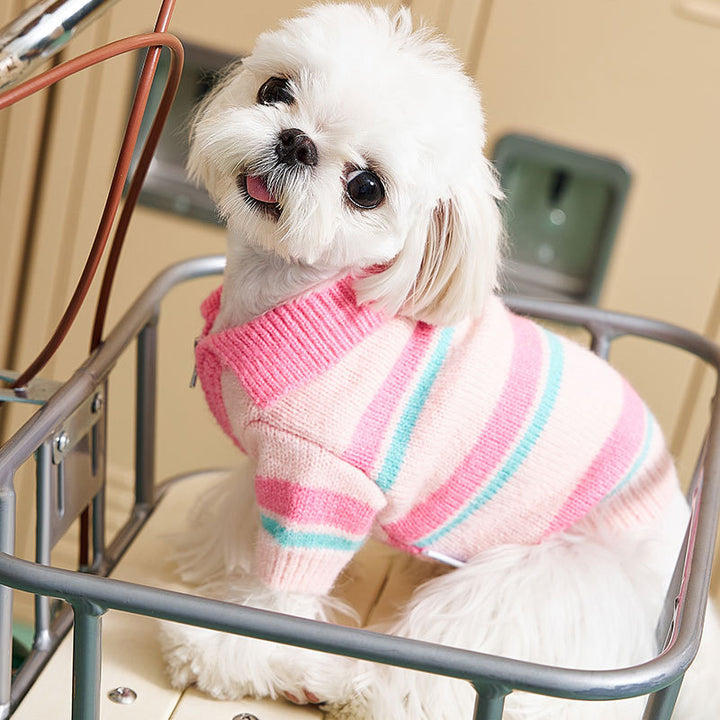 Cozy Knitted Dog Sweater