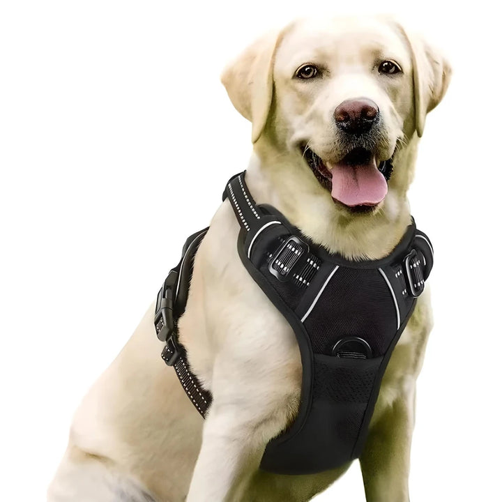 Reflective Adjustable Dog Harness and Leash Set