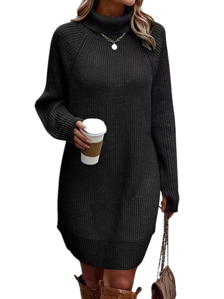 Fashion Slit Pullover High-neck Dress Lady