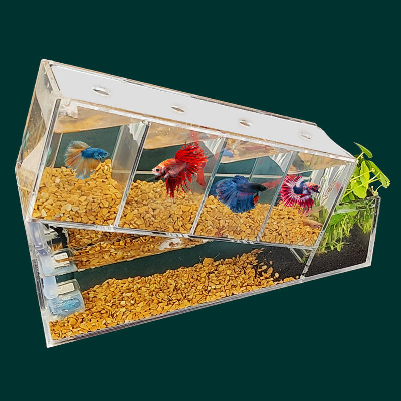 Stylish Acrylic Betta Fish Tank