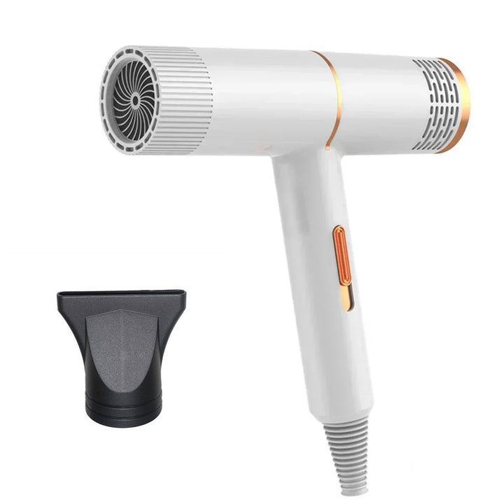 Professional Infrared Anion Hair Dryer