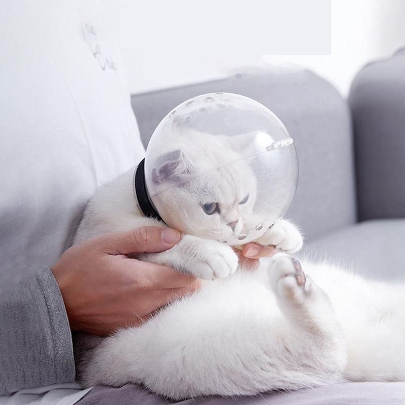 ComfortFit Transparent Cat Space Hood