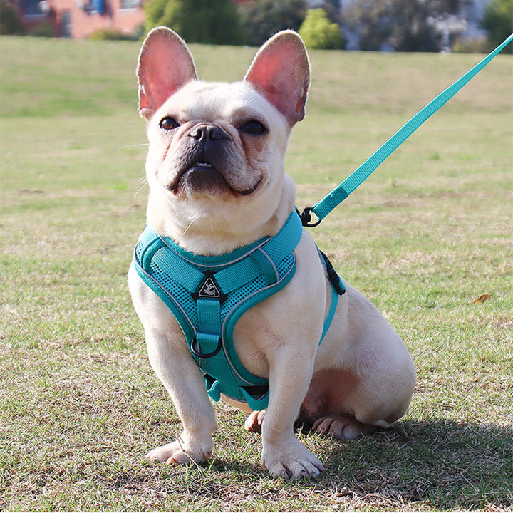 Adjustable Reflective No-Pull Dog Harness and Leash Set for Small and Medium Dogs