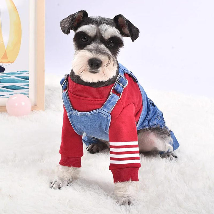 Denim Dog Jumpsuit