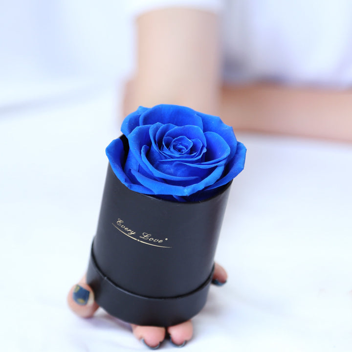 Thanksgiving Day Gift For Mother Flower Pot 1 A- A Rose Production Upgrade Small Size Gift Box