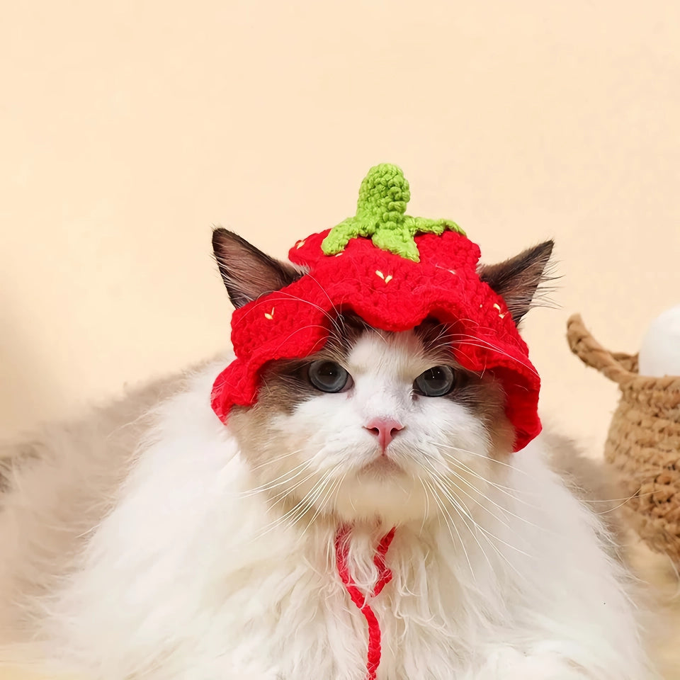 Cute Knitted Hat for Cats