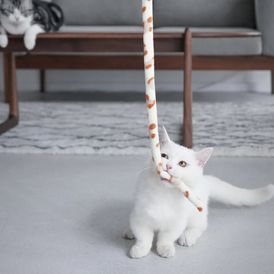 Cat Teaser Wand Toy: Entertain Your Feline Friend with Fun and Fitness